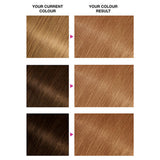 Garnier hair dye 7.3 Dark Golden Blonde, UK version