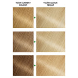 Garnier Nutrisse Ultra Blonde Permanent Hair Dye 100 Extra Light, UK version