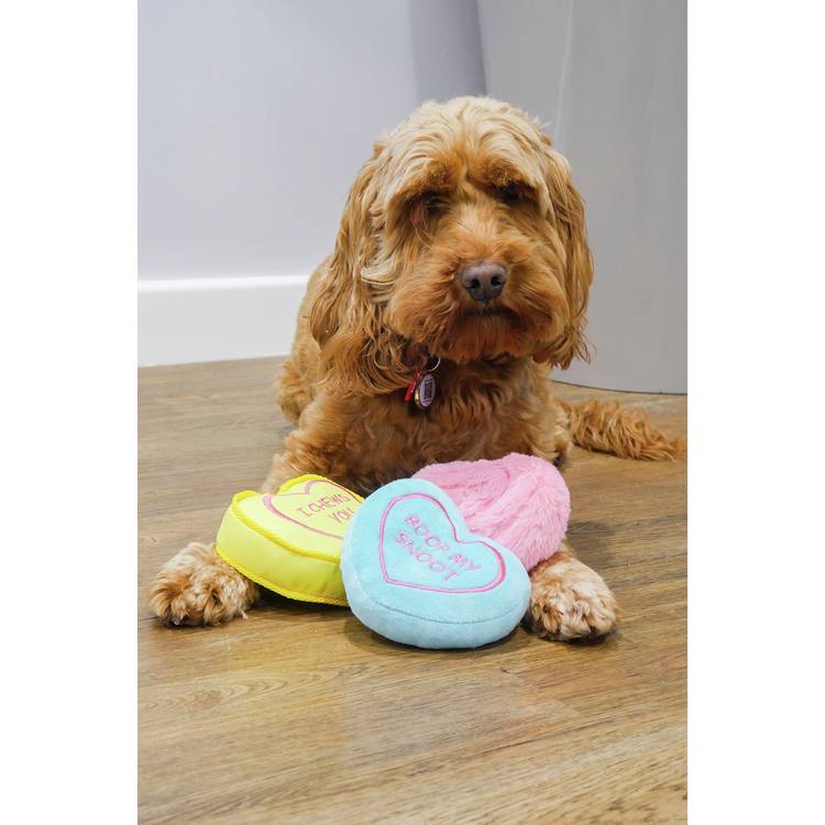 Rosewood Love Heart dog toy gift set, 30cm tall, UK version
