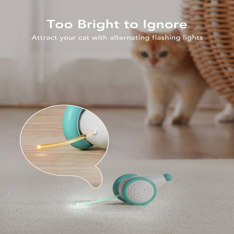 PETLIBRO Pixie Mouse cat toy with rolling lights and self-righting design (British brand)