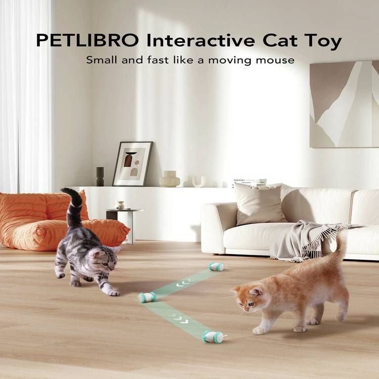 PETLIBRO Pixie Mouse cat toy with rolling lights and self-righting design (British brand)