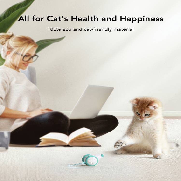 PETLIBRO Pixie Mouse cat toy with rolling lights and self-righting design (British brand)