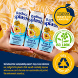 Radnor orange and passion fruit flavoured spring water 3 x 250ml, imported from the UK