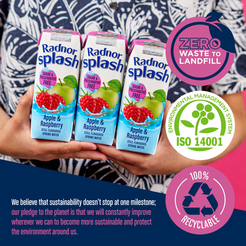 Radnor apple and raspberry still water 3 x 250ml, imported from the UK