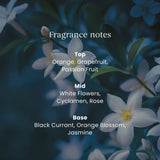 Yankee Candle ScentPlug Midsummer's Night refills 2 x 18.5 ml (British brand)