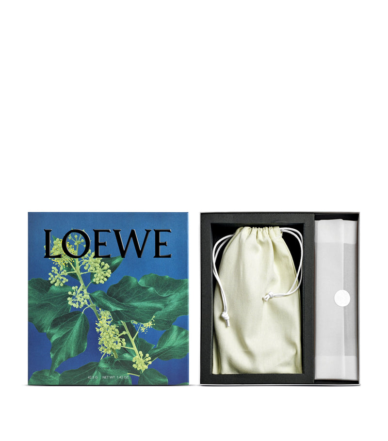 LOEWE Ivy incense diffuser set with 25 sticks and holder, UK version