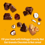 Kellogg's Crunchy Nut chocolate & hazelnut granola 380g, UK version