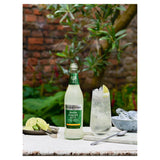 Fever-Tree sparkling ginger beer 500ml - British product