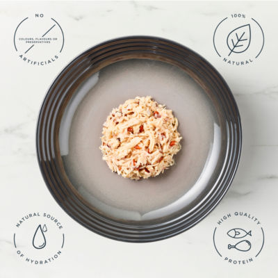 Encore chicken breast cat food 70g - British product