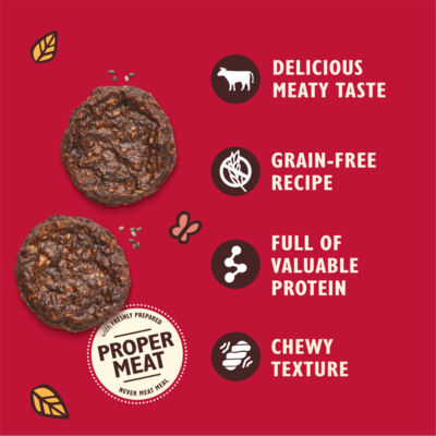 Lily's Kitchen beef mini burgers dog treats 70g, UK version