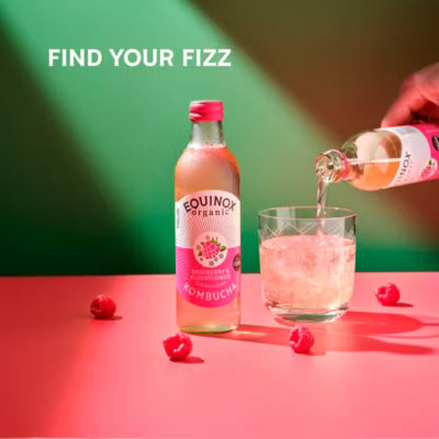 Equinox Organic Raspberry Elderflower Kombucha 275ml - British product