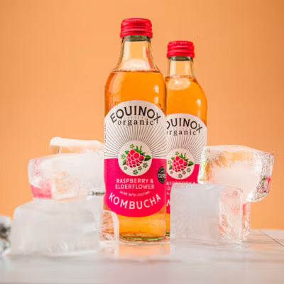 Equinox Organic Raspberry Elderflower Kombucha 275ml - British product