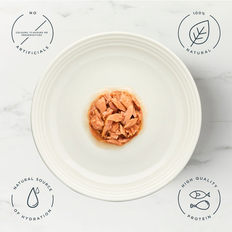 Encore Fish Selection in Gravy wet cat food pouches 5 x 50g - British product