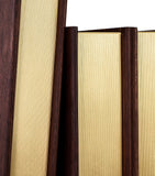 Assouline Library Bookends Set of 2 - British product
