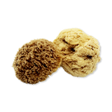 Holland & Barrett SpongeBox Deep Sea Pure Natural Sea Sponge 5-5.5 Inches- Buy online at McGrocer