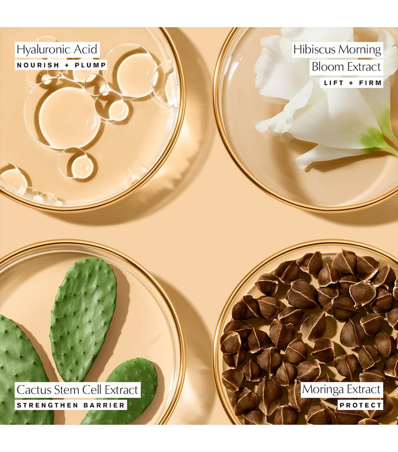 Estée Lauder Revitalizing Supreme+ Youth Power Soft Creme 50ml - British product