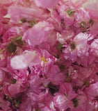 Guerlain Rose Centifolia Extrait 1 perfume 50ml (British brand)