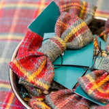 Fortnum's dog bow tie tartan 15.5cm - British product