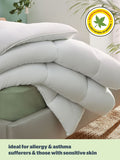 Silentnight Anti Allergy 4.5 Tog duvet (British brand)
