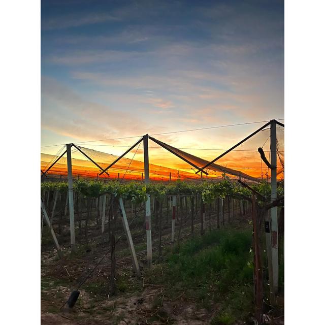 Terra Organica Malbec   75cl GOODS M&S