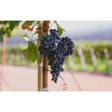 Terra Organica Malbec   75cl GOODS M&S