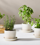 Le Creuset stoneware herb planter 15cm, UK version