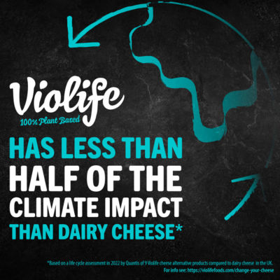 Violife Creamy Vegan Soft Cream Cheese Alternative 200g (British brand)