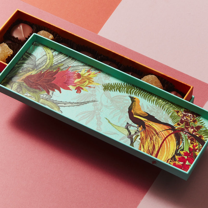 Fortnum's chocolate ginger selection 230g - British product