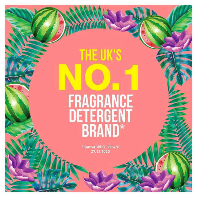 Surf Watermelon Breeze Concentrated Liquid Laundry Detergent 24 Washes 648ml GOODS M&S