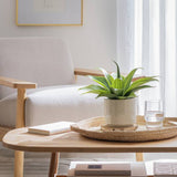 Argos Habitat Artificial Aloe in Reactive Glazed Pot 30.5cm- Buy online at McGrocer