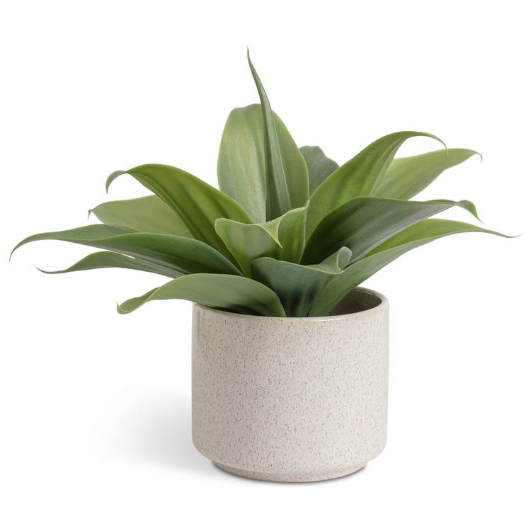 Habitat artificial aloe plant in reactive glazed pot 30.5cm (British brand)