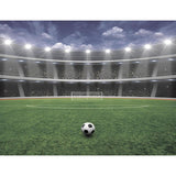 Walltastic football wall mural 8x10ft, UK version