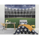 Walltastic football wall mural 8x10ft, UK version
