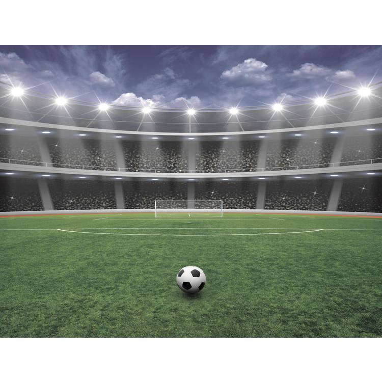 Walltastic football wall mural 8x10ft, UK version
