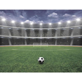 Walltastic football wall mural 8x10ft, UK version