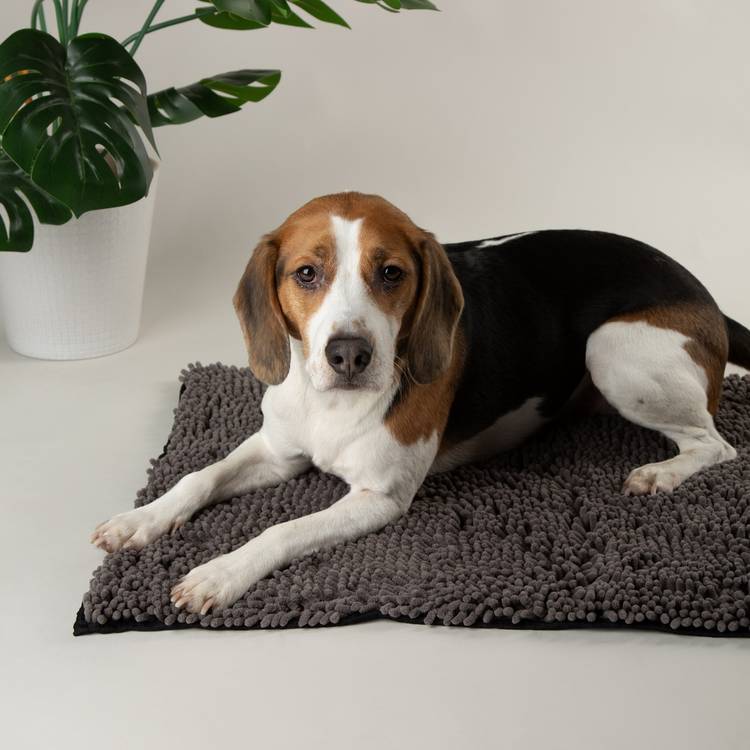 Scruffs Noodle Grey Pet Dry Mat medium - British product