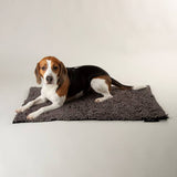Scruffs Noodle Grey Pet Dry Mat medium - British product