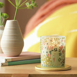 Habitat x Scion hyacinth white birch scented candle in glass holder, imported from the UK