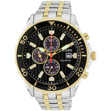 Citizen two tone stainless steel watch 48mm (British brand)
