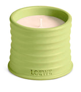 Harrods LOEWE Small Cucumber Scented Candle- Buy online at McGrocer