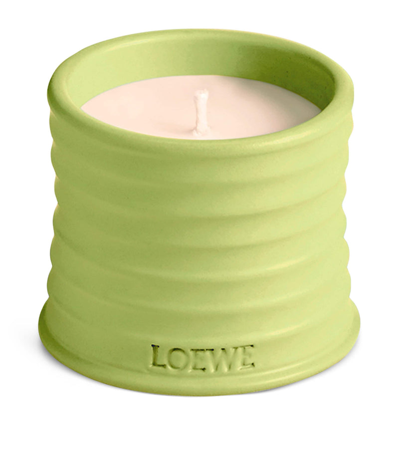 LOEWE small cucumber scented candle, UK version