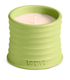 LOEWE small cucumber scented candle, UK version