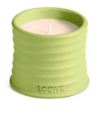LOEWE small cucumber scented candle, UK version