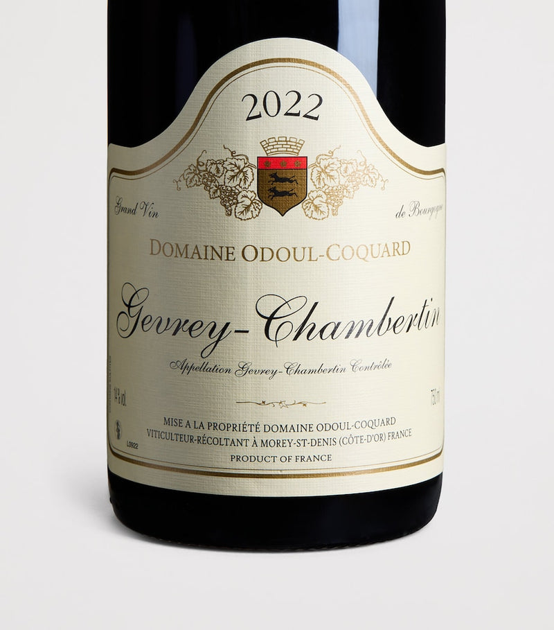 Odoul Coquard Gevrey-Chambertin red wine 2022 75cl, imported from the UK