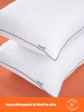 Silentnight Warm And Cosy medium support pillows 2 pack (British brand)