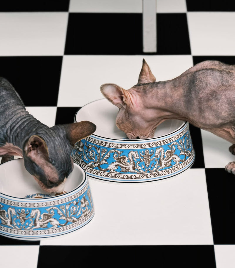 Wedgwood Florentine pet bowl 17cm, imported from the UK