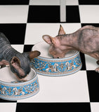 Wedgwood Florentine pet bowl 17cm, imported from the UK