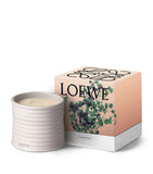 LOEWE medium oregano scented candle 610g, UK version
