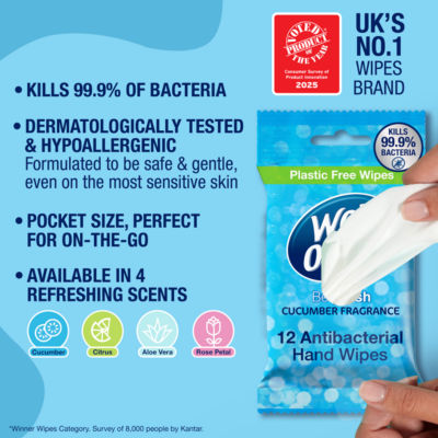 Wet Ones Be Fresh antibacterial hand wipes pack of 12 (British brand)