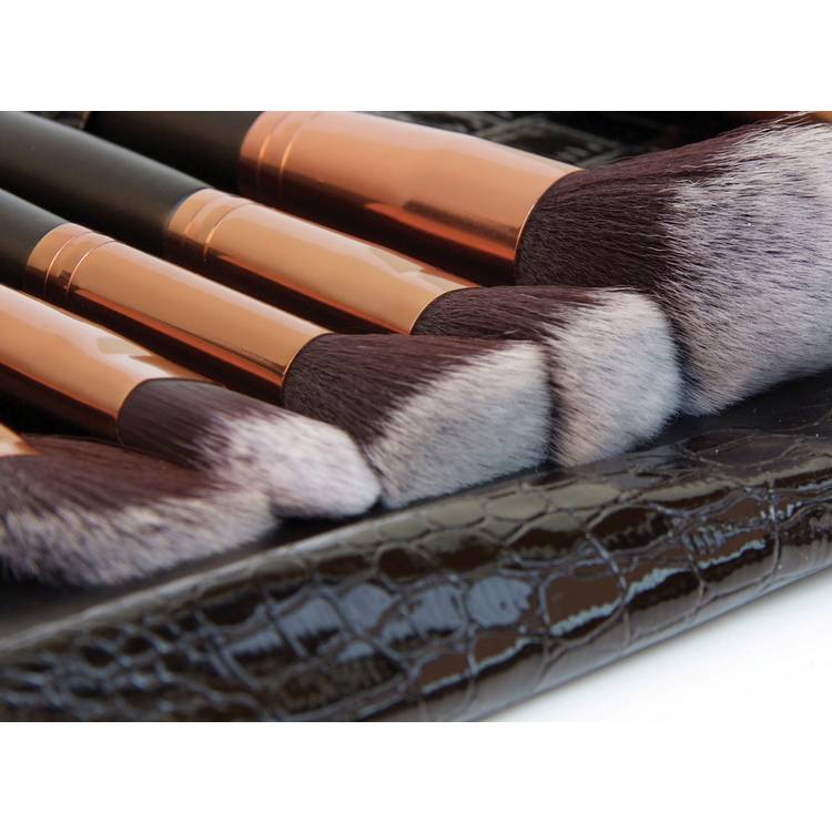 Rio 24-piece makeup brush set (British brand)